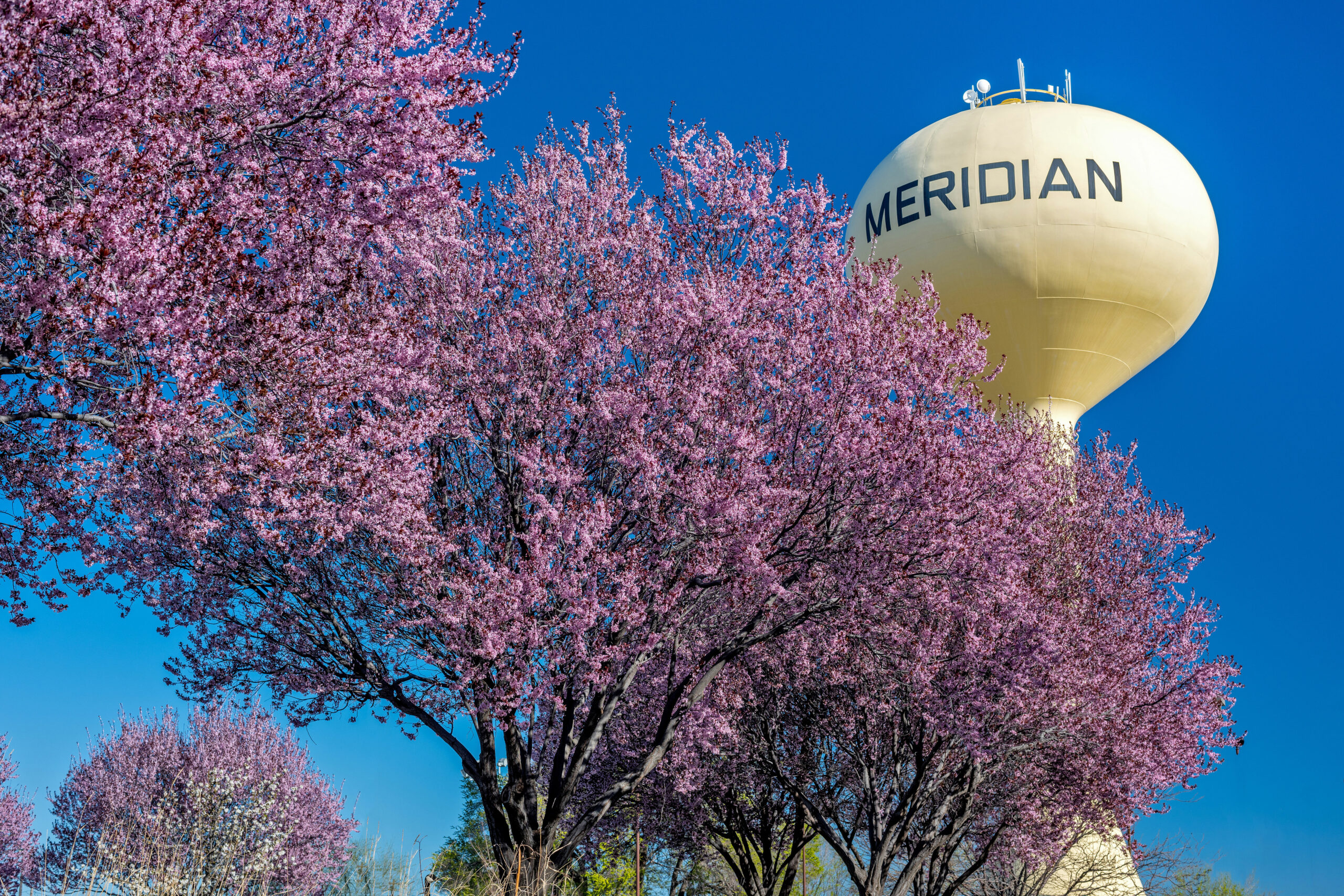 Meridian Idaho Painting Services